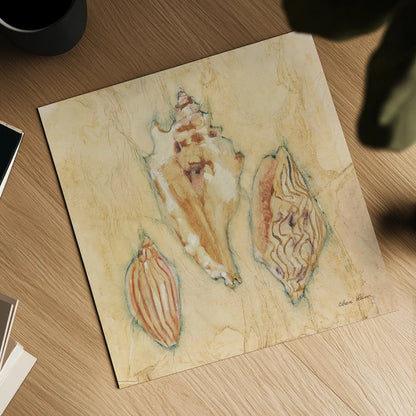 Shells I by Cheri Blum. Shown as a detailed flat fine art print, highlighting archival giclee quality. Available as an archival giclee rolled canvas, fine art paper, or poster print. SKU 7248a.