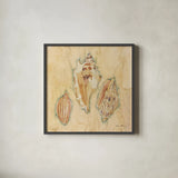 Shells I by Cheri Blum. Shown in a sleek black glass frame for a contemporary gallery look. Available as an archival giclee rolled canvas, fine art paper, or poster print. SKU 7248a.