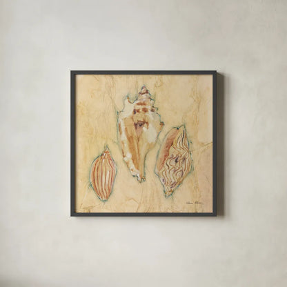 Shells I by Cheri Blum. Shown in a sleek black glass frame for a contemporary gallery look. Available as an archival giclee rolled canvas, fine art paper, or poster print. SKU 7248a.