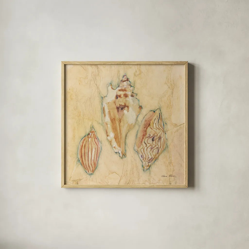 Shells I by Cheri Blum. Shown in a natural wood glass frame for a timeless modern aesthetic. Available as an archival giclee rolled canvas, fine art paper, or poster print. SKU 7248a.