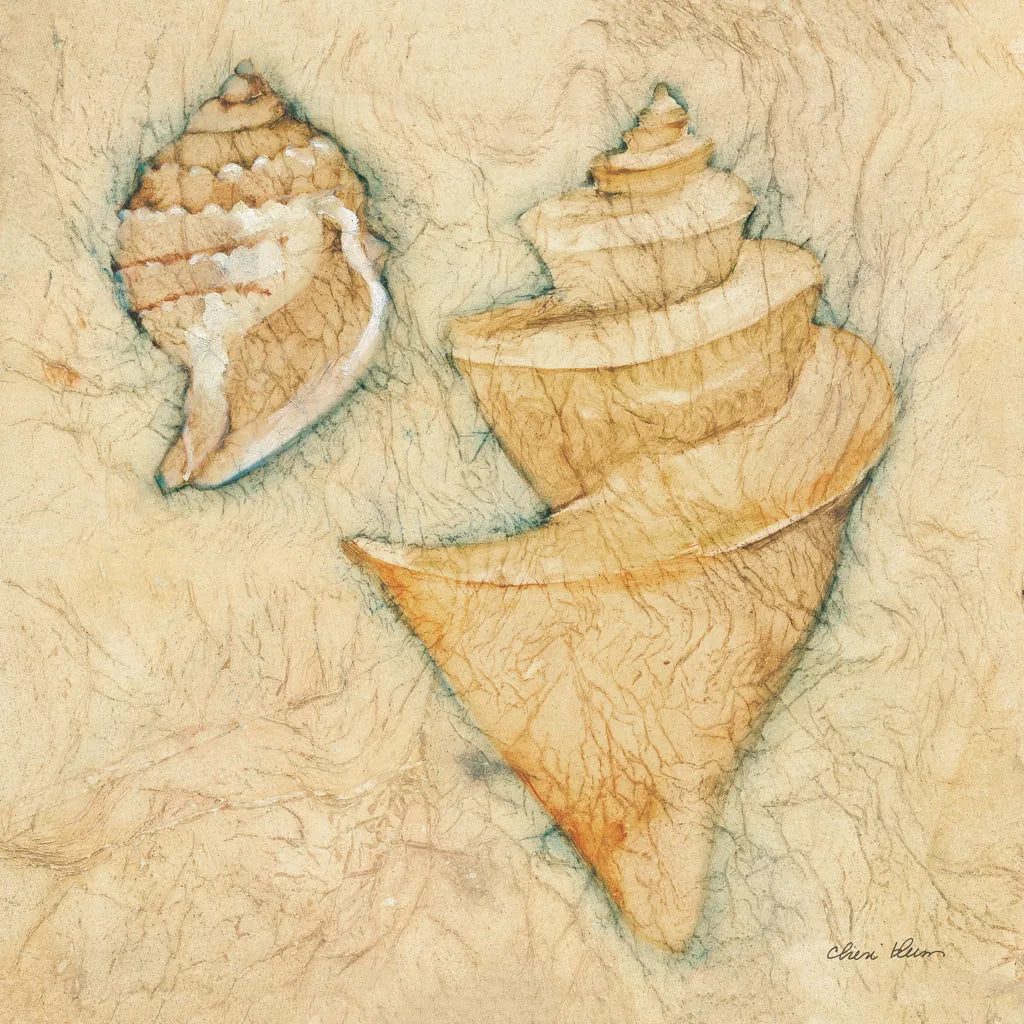Shells II by Cheri Blum. SKU 7249a. Archival Giclee Fine art print for wall decor.