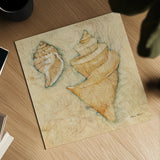 Shells II by Cheri Blum. Shown as a detailed flat fine art print, highlighting archival giclee quality. Available as an archival giclee rolled canvas, fine art paper, or poster print. SKU 7249a.