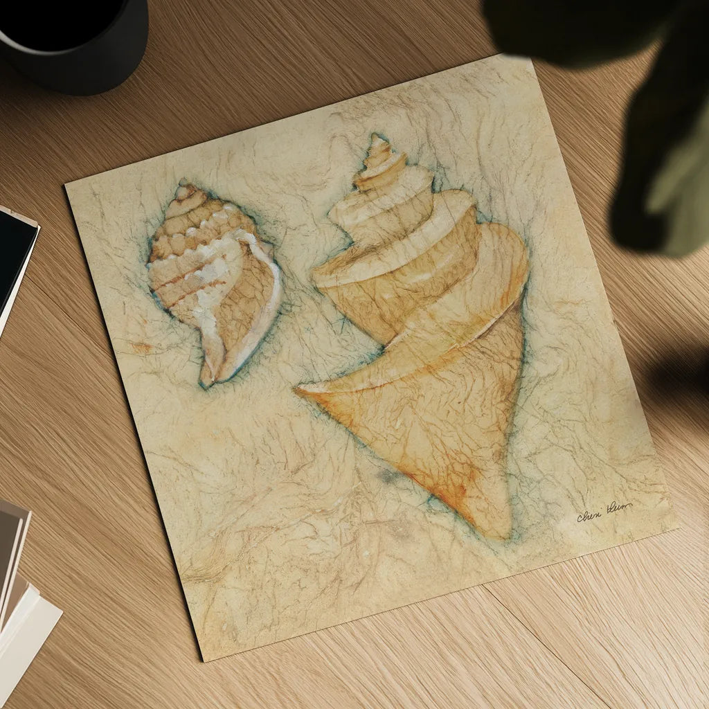 Shells II by Cheri Blum. Shown as a detailed flat fine art print, highlighting archival giclee quality. Available as an archival giclee rolled canvas, fine art paper, or poster print. SKU 7249a.