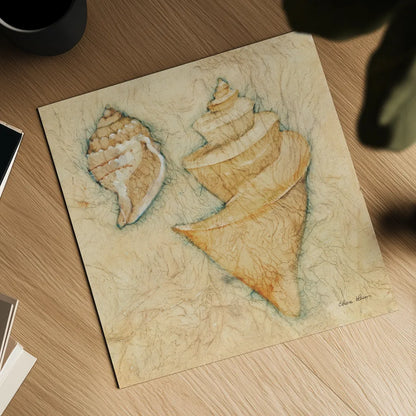 Shells II by Cheri Blum. Shown as a detailed flat fine art print, highlighting archival giclee quality. Available as an archival giclee rolled canvas, fine art paper, or poster print. SKU 7249a.