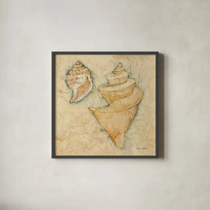 Shells II by Cheri Blum. Shown in a sleek black glass frame for a contemporary gallery look. Available as an archival giclee rolled canvas, fine art paper, or poster print. SKU 7249a.