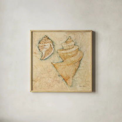 Shells II by Cheri Blum. Shown in a natural wood glass frame for a timeless modern aesthetic. Available as an archival giclee rolled canvas, fine art paper, or poster print. SKU 7249a.