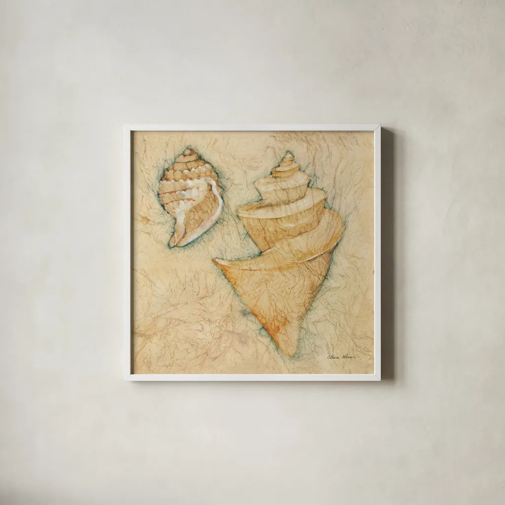 Shells II by Cheri Blum. Shown in a crisp white glass frame for a clean and minimalist style. Available as an archival giclee rolled canvas, fine art paper, or poster print. SKU 7249a.