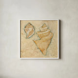 Shells II by Cheri Blum. Shown in a crisp white glass frame for a clean and minimalist style. Available as an archival giclee rolled canvas, fine art paper, or poster print. SKU 7249a.