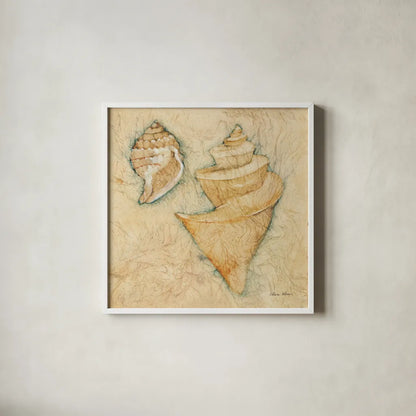 Shells II by Cheri Blum. Shown in a crisp white glass frame for a clean and minimalist style. Available as an archival giclee rolled canvas, fine art paper, or poster print. SKU 7249a.