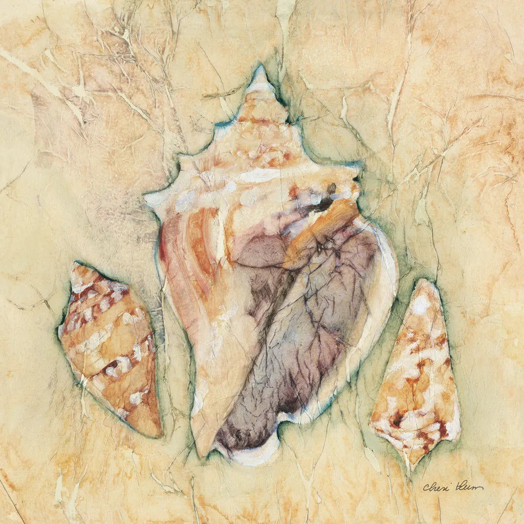 Shells III by Cheri Blum. SKU 7250a. Archival Giclee Fine art print for wall decor.