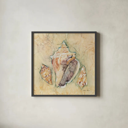 Shells III by Cheri Blum. Shown in a sleek black glass frame for a contemporary gallery look. Available as an archival giclee rolled canvas, fine art paper, or poster print. SKU 7250a.