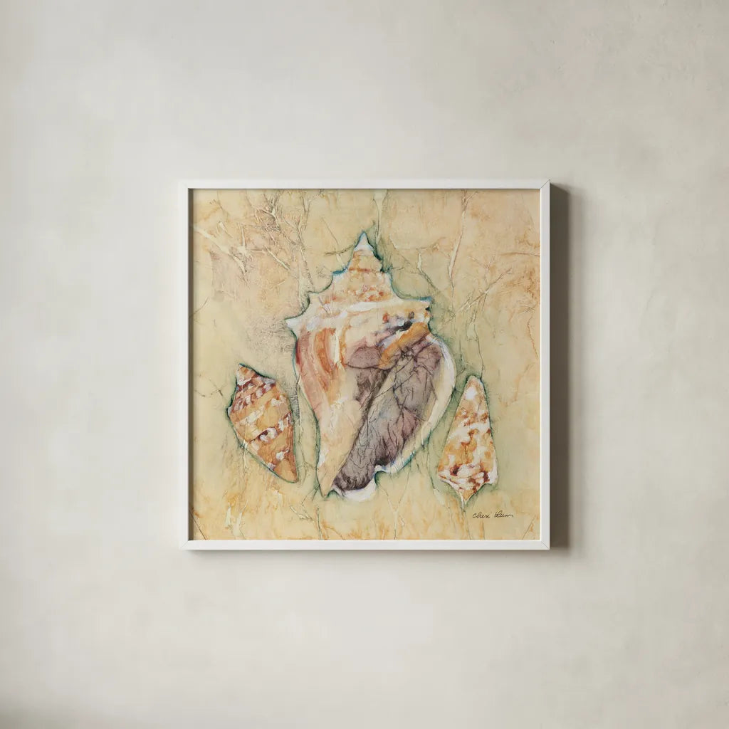 Shells III by Cheri Blum. Shown in a crisp white glass frame for a clean and minimalist style. Available as an archival giclee rolled canvas, fine art paper, or poster print. SKU 7250a.