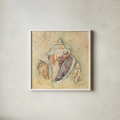 Shells III by Cheri Blum. Shown in a crisp white glass frame for a clean and minimalist style. Available as an archival giclee rolled canvas, fine art paper, or poster print. SKU 7250a.
