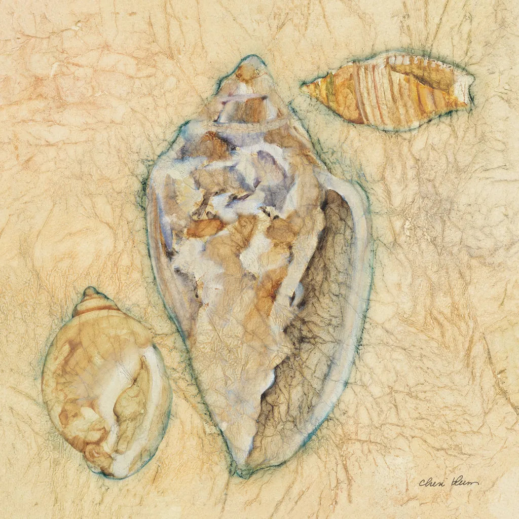 Shells IV by Cheri Blum. SKU 7251a. Archival Giclee Fine art print for wall decor.
