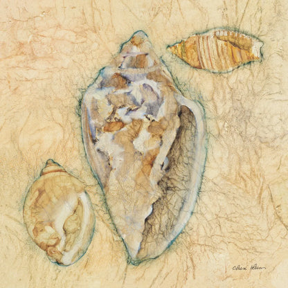 Shells IV by Cheri Blum. SKU 7251a. Archival Giclee Fine art print for wall decor.