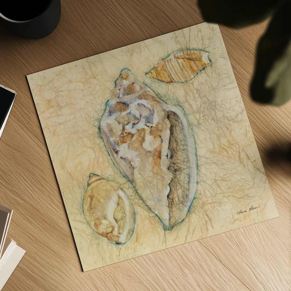 Shells IV by Cheri Blum. Shown as a detailed flat fine art print, highlighting archival giclee quality. Available as an archival giclee rolled canvas, fine art paper, or poster print. SKU 7251a.
