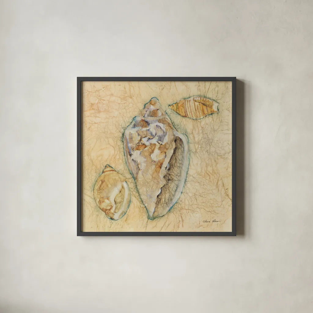 Shells IV by Cheri Blum. Shown in a sleek black glass frame for a contemporary gallery look. Available as an archival giclee rolled canvas, fine art paper, or poster print. SKU 7251a.