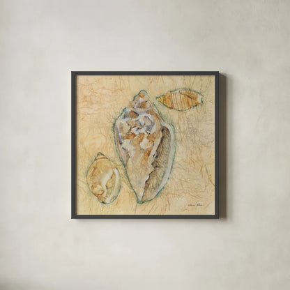 Shells IV by Cheri Blum. Shown in a sleek black glass frame for a contemporary gallery look. Available as an archival giclee rolled canvas, fine art paper, or poster print. SKU 7251a.