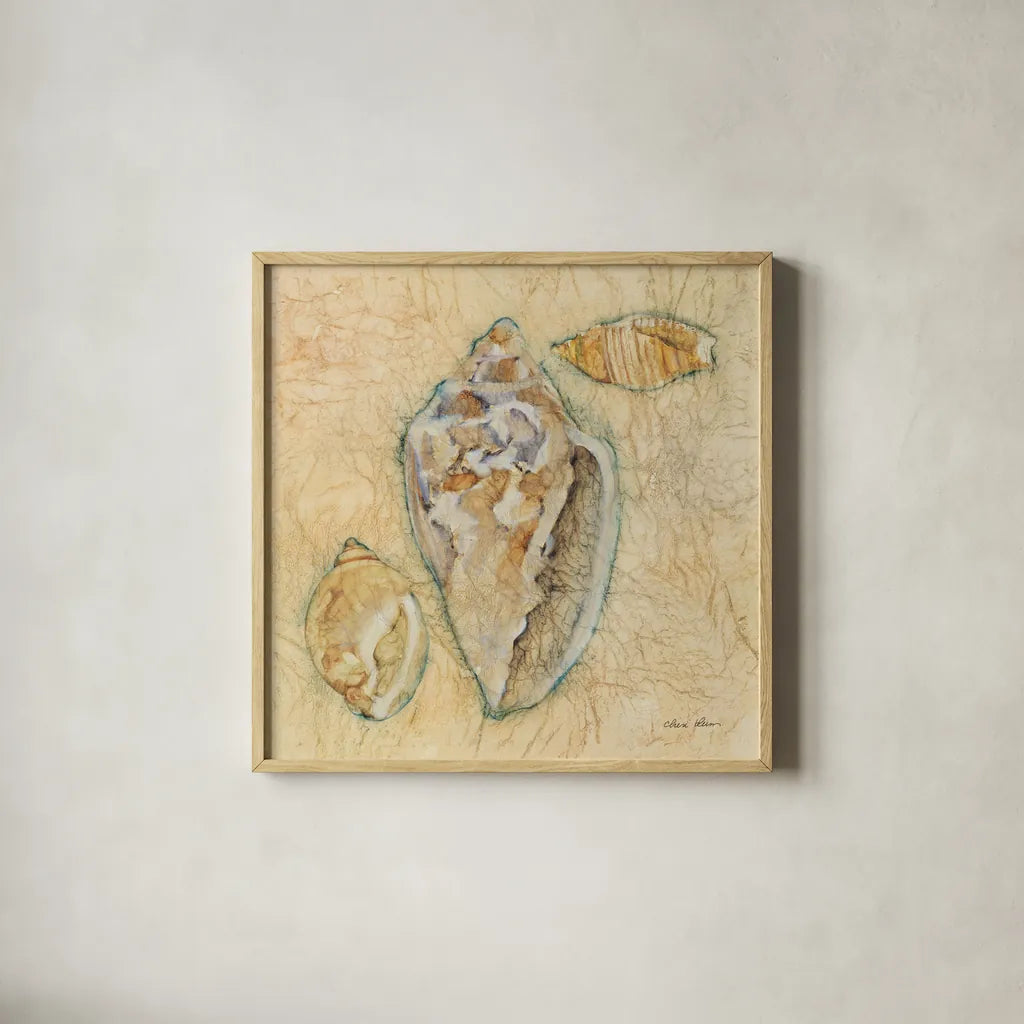 Shells IV by Cheri Blum. Shown in a natural wood glass frame for a timeless modern aesthetic. Available as an archival giclee rolled canvas, fine art paper, or poster print. SKU 7251a.