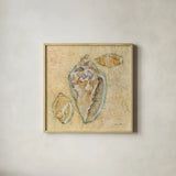 Shells IV by Cheri Blum. Shown in a natural wood glass frame for a timeless modern aesthetic. Available as an archival giclee rolled canvas, fine art paper, or poster print. SKU 7251a.