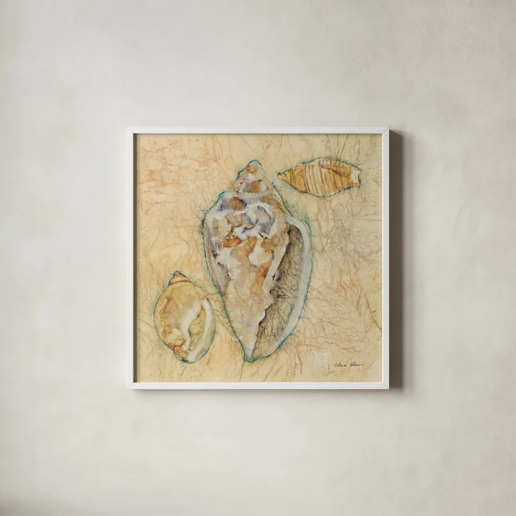 Shells IV by Cheri Blum. Shown in a crisp white glass frame for a clean and minimalist style. Available as an archival giclee rolled canvas, fine art paper, or poster print. SKU 7251a.