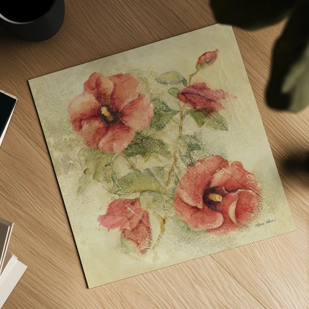 Soft Hibiscus II by Cheri Blum. Shown as a detailed flat fine art print, highlighting archival giclee quality. Available as an archival giclee rolled canvas, fine art paper, or poster print. SKU 7541a.