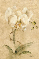 Southern Floral I by Cheri Blum. SKU 7475h. Archival Giclee Fine art print for wall decor.