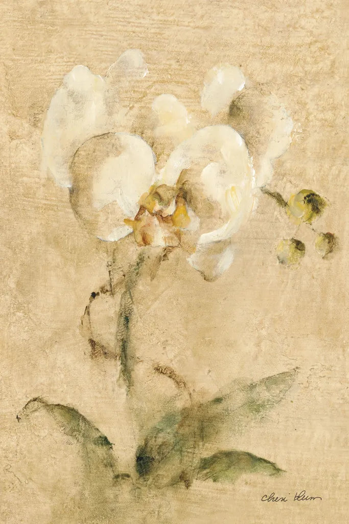 Southern Floral I by Cheri Blum. SKU 7475h. Archival Giclee Fine art print for wall decor.