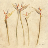 Stems of Bird of Paradise by Cheri Blum. SKU 7297a. Archival Giclee Fine art print for wall decor.