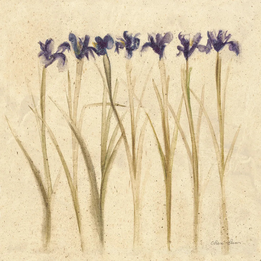 Stems of Iris by Cheri Blum. SKU 7296a. Archival Giclee Fine art print for wall decor.