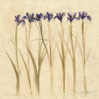 Stems of Iris by Cheri Blum. SKU 7296a. Archival Giclee Fine art print for wall decor.