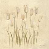 Stems of White Tulips by Cheri Blum. SKU 7298a. Archival Giclee Fine art print for wall decor.