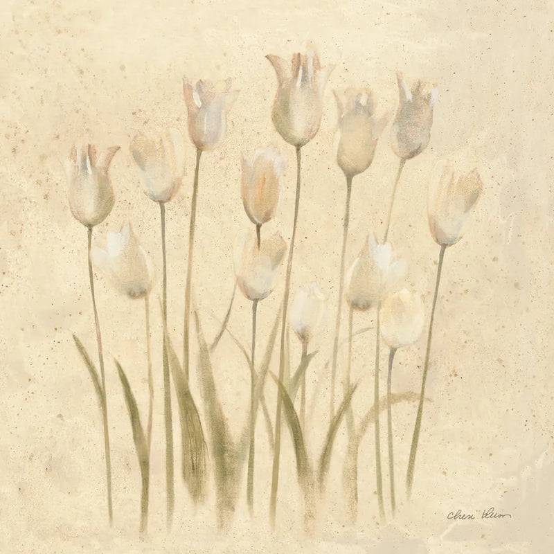 Stems of White Tulips by Cheri Blum. SKU 7298a. Archival Giclee Fine art print for wall decor.