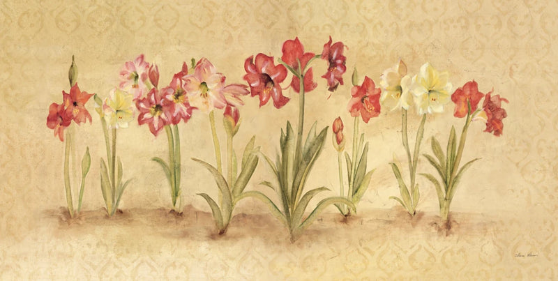 Summertime Amaryllis by Cheri Blum