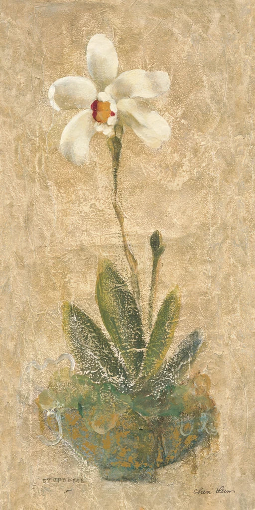 Sympodial by Cheri Blum