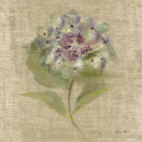 Velvet Hydrangea by Cheri Blum. SKU 88661a. Archival Giclee Fine art print for wall decor.