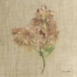 Velvet Lilac by Cheri Blum. SKU 88659a. Archival Giclee Fine art print for wall decor.