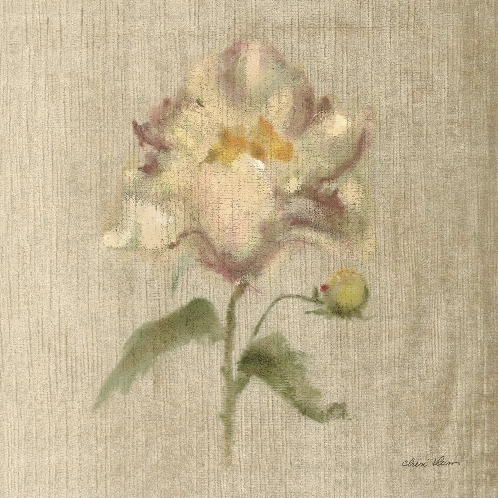 Velvet Peony by Cheri Blum. SKU 88660a. Archival Giclee Fine art print for wall decor.