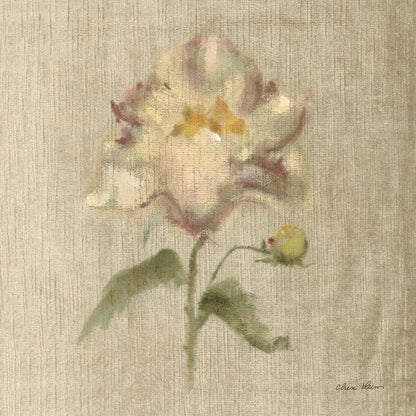 Velvet Peony by Cheri Blum. SKU 88660a. Archival Giclee Fine art print for wall decor.