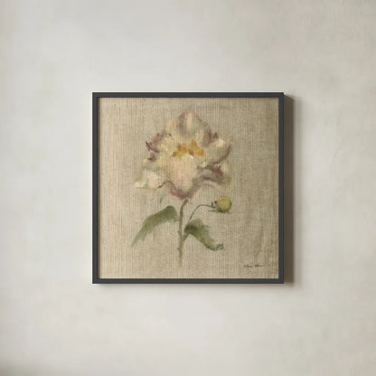Velvet Peony by Cheri Blum. Shown in a sleek black glass frame for a contemporary gallery look. Available as an archival giclee rolled canvas, fine art paper, or poster print. SKU 88660a.