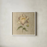 Velvet Peony by Cheri Blum. Shown in a crisp white glass frame for a clean and minimalist style. Available as an archival giclee rolled canvas, fine art paper, or poster print. SKU 88660a.