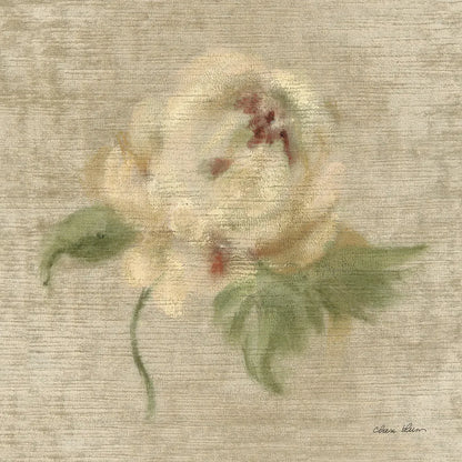 Velvet Rose by Cheri Blum. SKU 88658a. Archival Giclee Fine art print for wall decor.