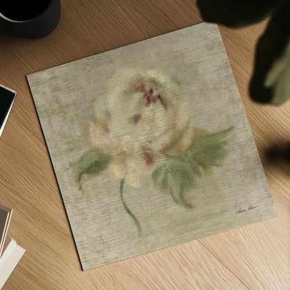 Velvet Rose by Cheri Blum. Shown as a detailed flat fine art print, highlighting archival giclee quality. Available as an archival giclee rolled canvas, fine art paper, or poster print. SKU 88658a.