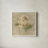 Velvet Rose by Cheri Blum. Shown in a crisp white glass frame for a clean and minimalist style. Available as an archival giclee rolled canvas, fine art paper, or poster print. SKU 88658a.