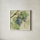 Vintage Cabernet by Cheri Blum. Shown in a crisp white glass frame for a clean and minimalist style. Available as an archival giclee rolled canvas, fine art paper, or poster print. SKU 7586a.