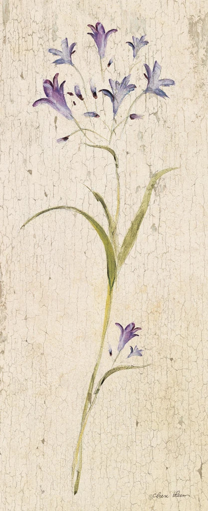 Vintage Campanula by Cheri Blum
