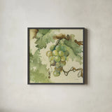 Vintage Chardonay by Cheri Blum. Shown in a sleek black glass frame for a contemporary gallery look. Available as an archival giclee rolled canvas, fine art paper, or poster print. SKU 7585a.