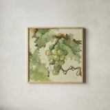 Vintage Chardonay by Cheri Blum. Shown in a natural wood glass frame for a timeless modern aesthetic. Available as an archival giclee rolled canvas, fine art paper, or poster print. SKU 7585a.
