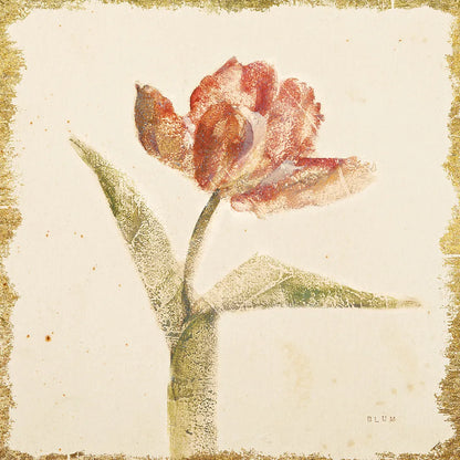 Vintage Flaming Parrot Tulip Crop by Cheri Blum. SKU 24592a. Archival Giclee Fine art print for wall decor.