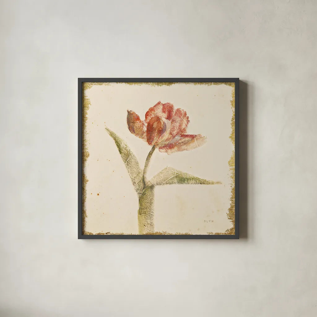 Vintage Flaming Parrot Tulip Crop by Cheri Blum. Shown in a sleek black glass frame for a contemporary gallery look. Available as an archival giclee rolled canvas, fine art paper, or poster print. SKU 24592a.